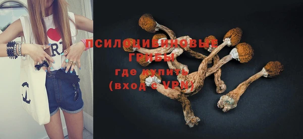 таблы Богданович