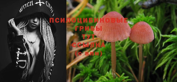таблы Богданович
